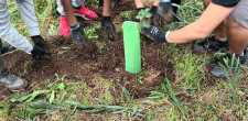 Várias atividades marcaram a celebração da natureza