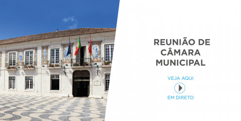 2020_banner-avulso_reuniao_camara_sem_data_1_2