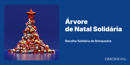 2025_grandes_eventos_natal_arvore_solidaria_bnr_1000x500