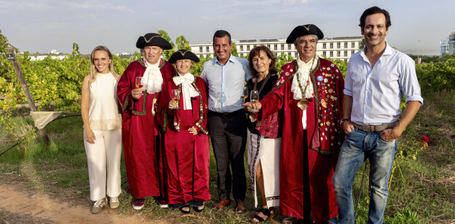 Mais de 11,6 toneladas de uva  ...