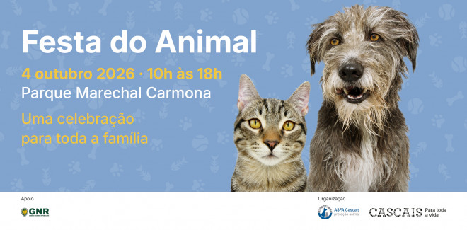  Cascais celebra o Dia Mundial ...
