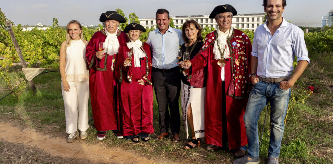 Mais de 11,6 toneladas de uva  ...