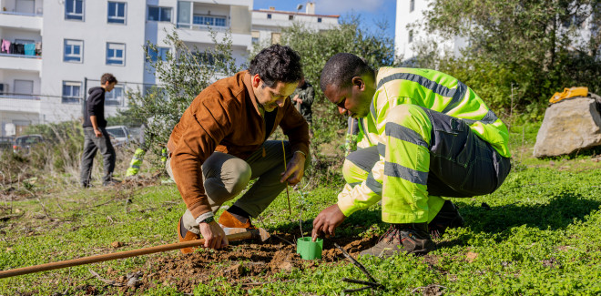  Reforço da consciência  ...