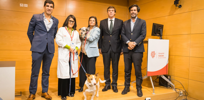 Cães vão fazer visitas ao  ...