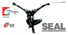 Concerto do artista SEAL  ...