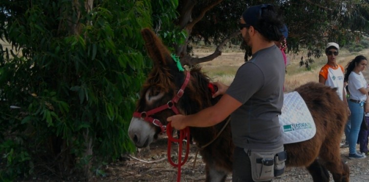 Burros Lanudos do Pisão