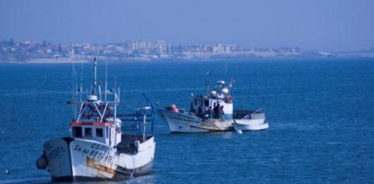 Pesca