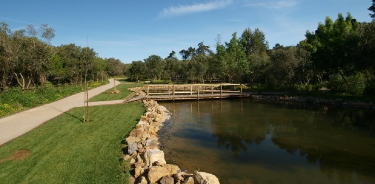 Bosque dos Gaios