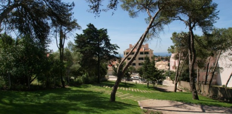 CEVAR 14, Parede