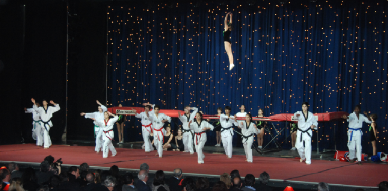 Artes Marciais e Ginástica Acrobática
