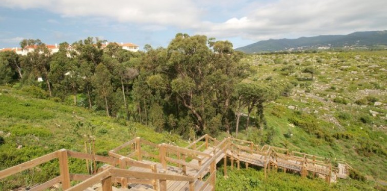 Espaços Verdes | Parque Penhas da Marmeleira