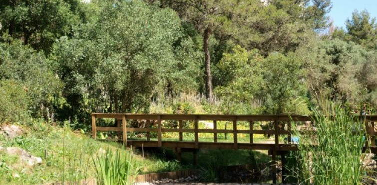 Espaços Verdes | Parque Ribeira dos Mochos