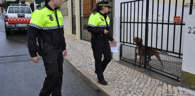 Sintra investe em 12 carros-patrulha para a PSP e GNR - Sintra