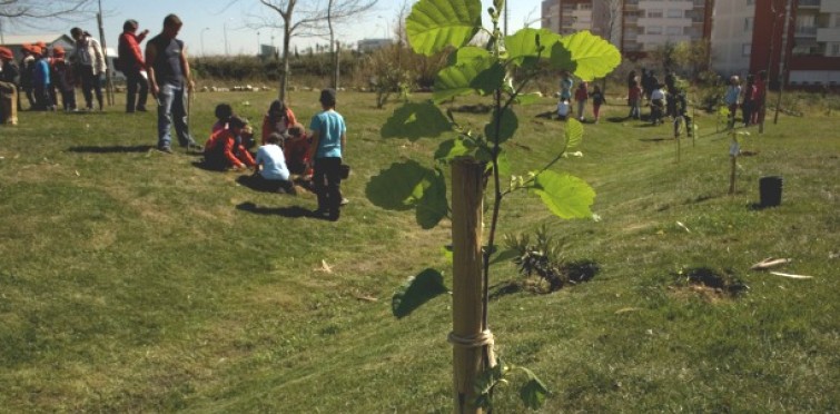 A 21 de março Cascais assinalou o Dia Mundial da Árvore e da Floresta