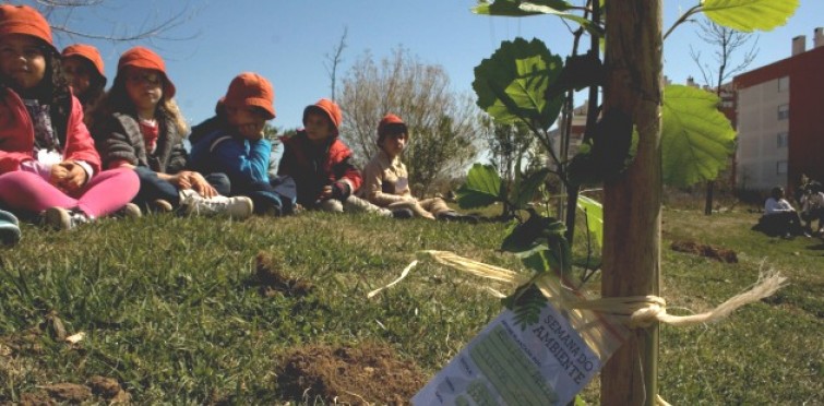 Grupos de alunos de escolas do concelho ajudaram a plantar árvores