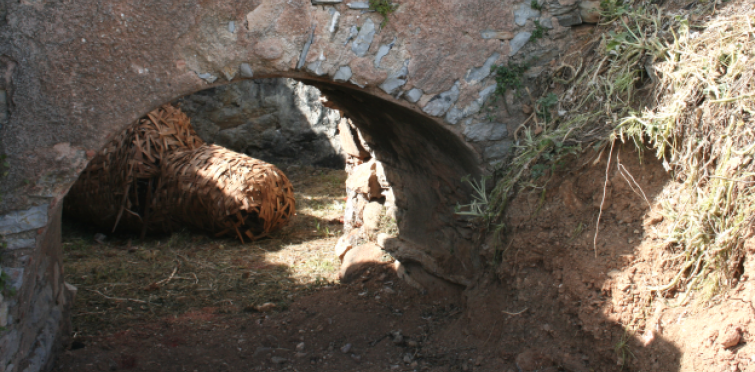 «A bananeira não é uma árvore, mas sim uma planta herbácea, desprovida de tronco lenhoso. Os seus talos, muito tenros, desaparecem depois da frutificação. Por isso Buda fez da bananeira o símbolo da fragilidade, da instabilidade das coisas, cujo interesse deve ser abandonado." - Eduardo Malé