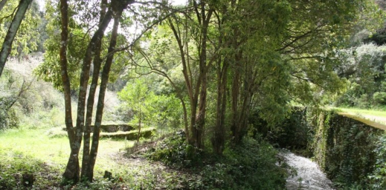 Passeios na Quinta do Pisão Passeios na Quinta do Pisão