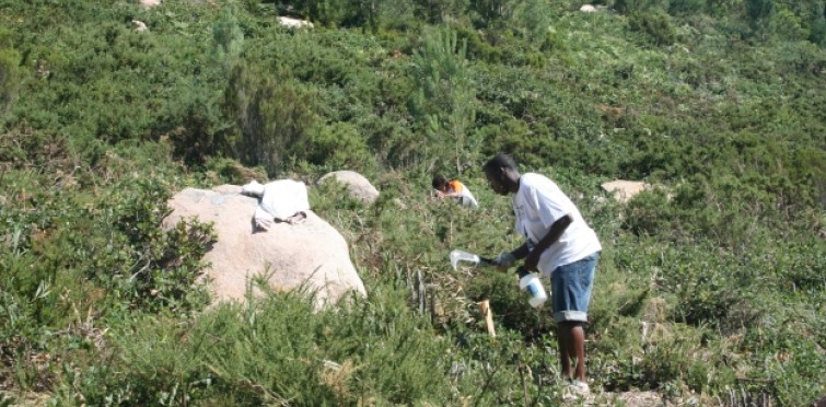 Ações de conservação da natureza Ações de conservação da natureza