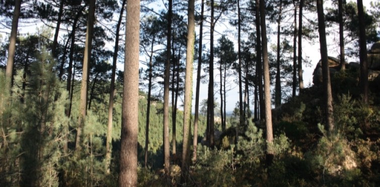 Passeios na Quinta do Pisão Passeios na Quinta do Pisão