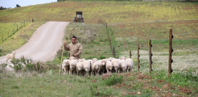 Passeios na Quinta do Pisão Passeios na Quinta do Pisão