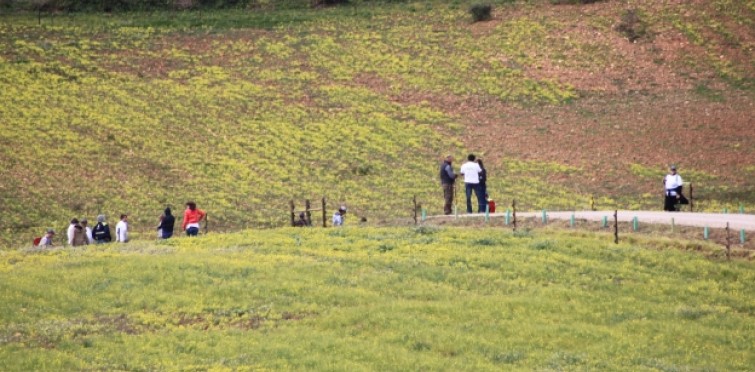 Ações de conservação da natureza Ações de conservação da natureza