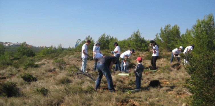 Ações de conservação da natureza Ações de conservação da natureza