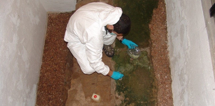 Aplicação de biocida em colonização de micro-organismos nas ruínas arqueológicas de habitação do século XVI 