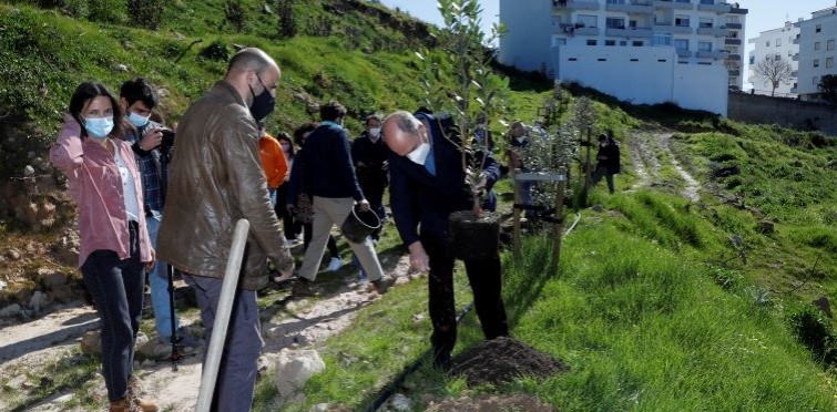 Plantação Medronheiros | Varandas de Cascais Plantação Medronheiros | Varandas de Cascais