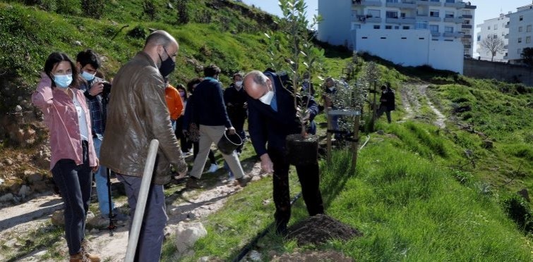 Plantação Medronheiros | Varandas de Cascais