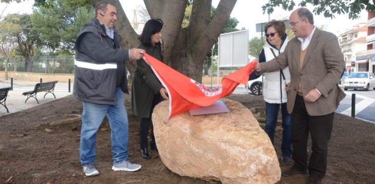 Inauguração dos espaços verdes requalificados na Rua de Benguela e na Rua de Luanda, Junqueiro, Parede. 