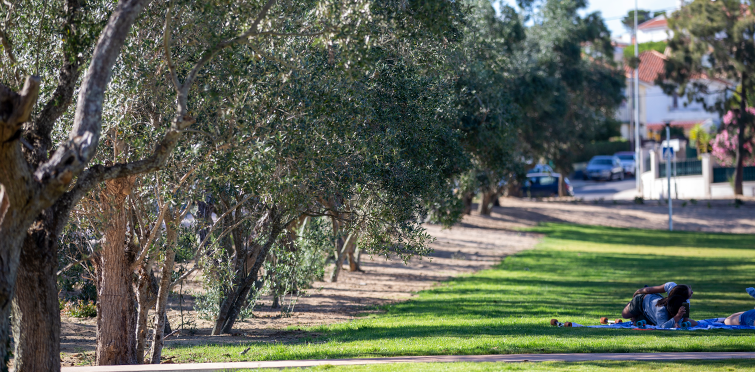 Parque Urbano da Quinta da Carreira