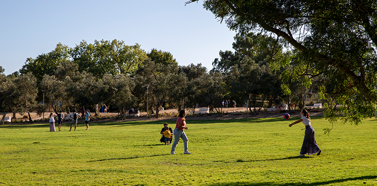 Parque Urbano da Quinta da Carreira