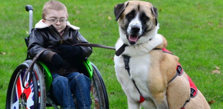 Owen Howkins e o seu cão, Haatchi. Fonte: Huffington Post