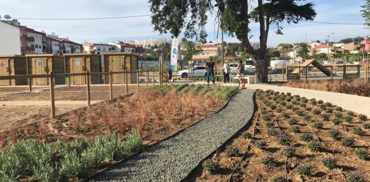 Horta comunitária e Parque Canino