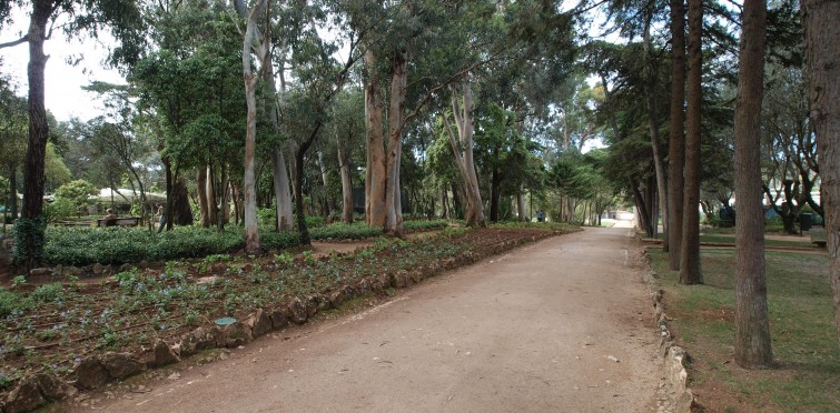 Parque Marechal Carmona