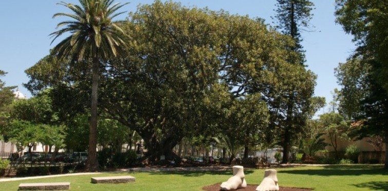 Parque Marechal Carmona, Cascais Parque Marechal Carmona, Cascais