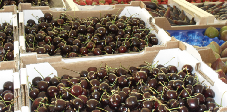 Workshop de Alimentação Saudável no Mercado da Vila de Cascais