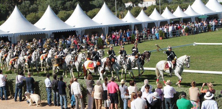 Cavalo Lusitano salto obstáculos 