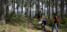 Passeios na Quinta do Pisão Passeios na Quinta do Pisão