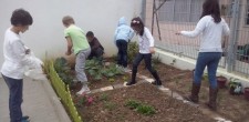 Projetos Educativos: Hortas Escolares