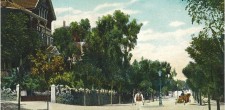 Avenida de Saboia, no Monte Estoril, c. 1900 | Coleção José Santos Fernandes – Arquivo Histórico Municipal