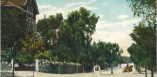 Avenida de Saboia, no Monte Estoril, c. 1900 | Coleção José Santos Fernandes – Arquivo Histórico Municipal Avenida de Saboia, no Monte Estoril, c. 1900 | Coleção José Santos Fernandes – Arquivo Histórico Municipal