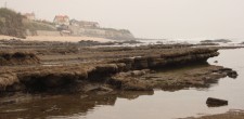 Zona de Interesse Biofísico das Avencas 