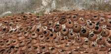 “Daí o uso de matérias perecíveis nas peças que construo como a fibra de bananeira, nozes de côco, cascas de árvores (eucalipto e outras), cintas metálicas em aço, e papel. Isso porque somos pó da terra”.