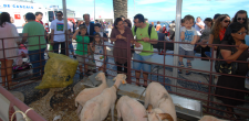 Festa da Criança 2012