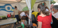 Festa da Criança 2012