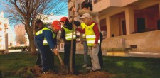A Alameda da Guia foi um dos locais onde os alunos plantaram árvores