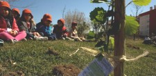 Grupos de alunos de escolas do concelho ajudaram a plantar árvores