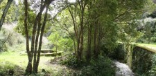 Passeios na Quinta do Pisão Passeios na Quinta do Pisão