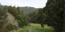 Passeios na Quinta do Pisão Passeios na Quinta do Pisão